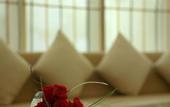 Туры в отель Safir Doha