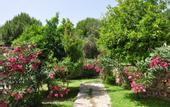 Туры в отель Club Datca Tatil Koyu