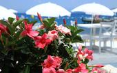 Туры в отель Grand Yazici Torba Beach Club