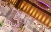 Туры в отель Crowne Plaza New Delhi Okhla