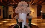 Туры в отель Crowne Plaza New Delhi Okhla