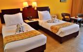 Туры в отель Coral Sun Beach