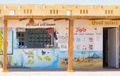 Туры в отель Coral Sun Beach