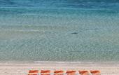 Туры в отель Apartamentos del Mar