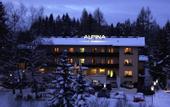 Туры в отель Hotel Alpina
