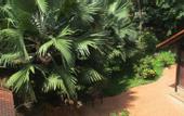 Туры в отель Sim Garden Resort & Spa