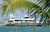 Туры в отель Abaco Beach Resort
