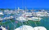 Туры в отель Abaco Beach Resort