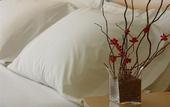 Туры в отель El Portal Suites