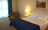 Туры в отель Holiday Inn Express Rosario