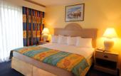 Туры в отель Best Western Bay View Suites