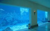 Туры в отель Best Western Bay View Suites