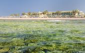 Туры в отель Barcelo Tiran Sharm