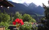Туры в отель Bruckenhof Hotel Garni