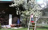 Туры в отель Ploellerhof