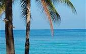 Туры в отель Koh Tao Bamboo Huts