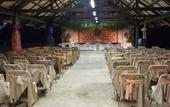 Туры в отель Gecko's Resort
