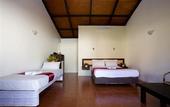 Туры в отель Gecko's Resort