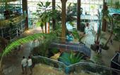 Туры в отель Flamingo Oasis