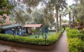Туры в отель Suncity Hotel & Beach Club