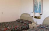Туры в отель Capri Motel