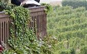 Туры в отель L`Albereta Relais & Chateaux