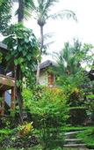 Туры в отель Rama Phala Resort