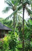 Туры в отель Rama Phala Resort