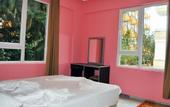 Туры в отель Dayi Diamond Hotel