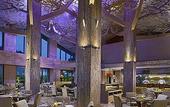 Туры в отель Resorts World Sentosa - Equarius Hotel
