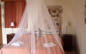 Туры в отель Pegasus Resort