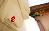 Туры в отель Ramada Hotel Hyde Park London