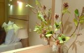 Туры в отель Albufeira Sol Hotel & SPA