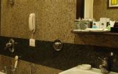 Туры в отель Hotel Alpine Tree