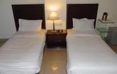 Туры в отель Hotel Alpine Tree