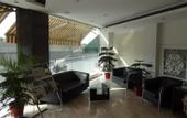 Туры в отель Hotel Alpine Tree