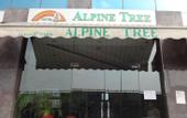 Туры в отель Hotel Alpine Tree