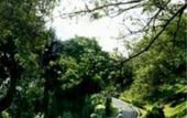 Туры в отель Carcosa Seri Negara