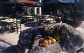 Туры в отель Caribbean Paradise Resort & Spa