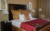 Туры в отель Crowne Plaza Northwest-Brookhollow