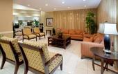 Туры в отель Crowne Plaza Northwest-Brookhollow