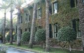 Туры в отель Hotel Jardin Milenio