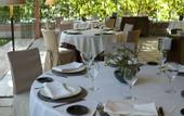 Туры в отель Hotel Jardin Milenio