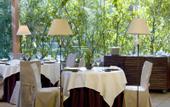 Туры в отель Hotel Jardin Milenio
