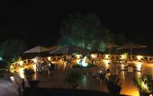 Туры в отель Finca Hotel Son Olive