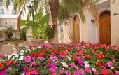 Туры в отель Aloha Gardens