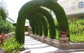 Туры в отель Aloha Gardens