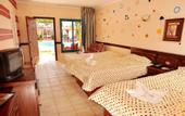 Туры в отель Ocean Club Hotel