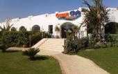 Туры в отель Ocean Club Hotel