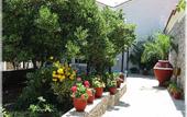 Туры в отель Olive Press Hotel